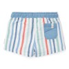 Gestreepte zwemshort - Swim trunks stripes multi-colour